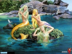 Shadya erotic massage in Palm River-Clair Mel